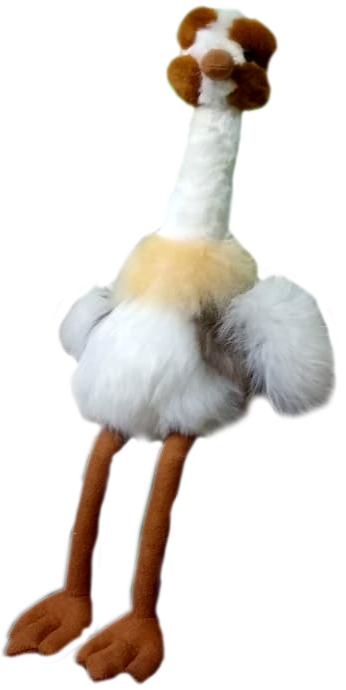 avestruz