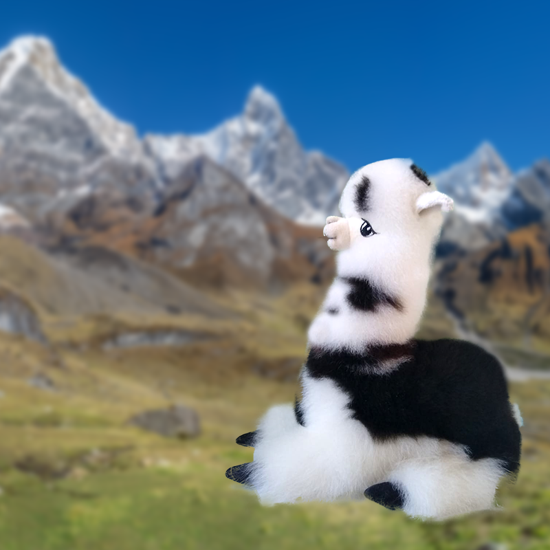 Alpaca echada 10