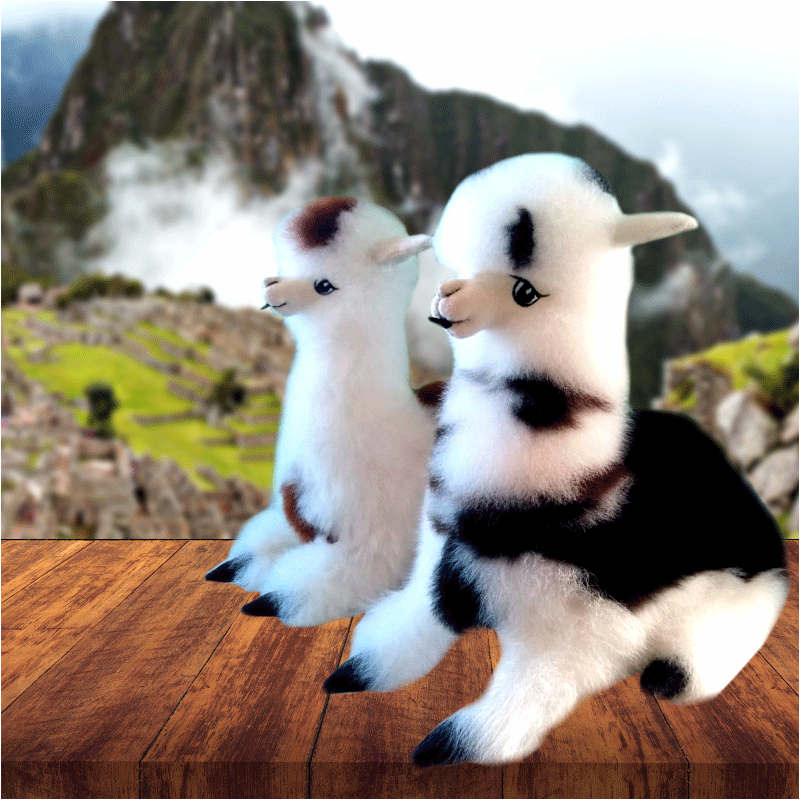 Alpaca echada 3