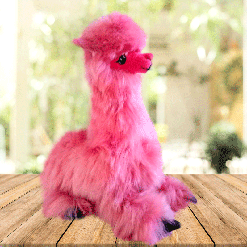 Alpaca echada 4