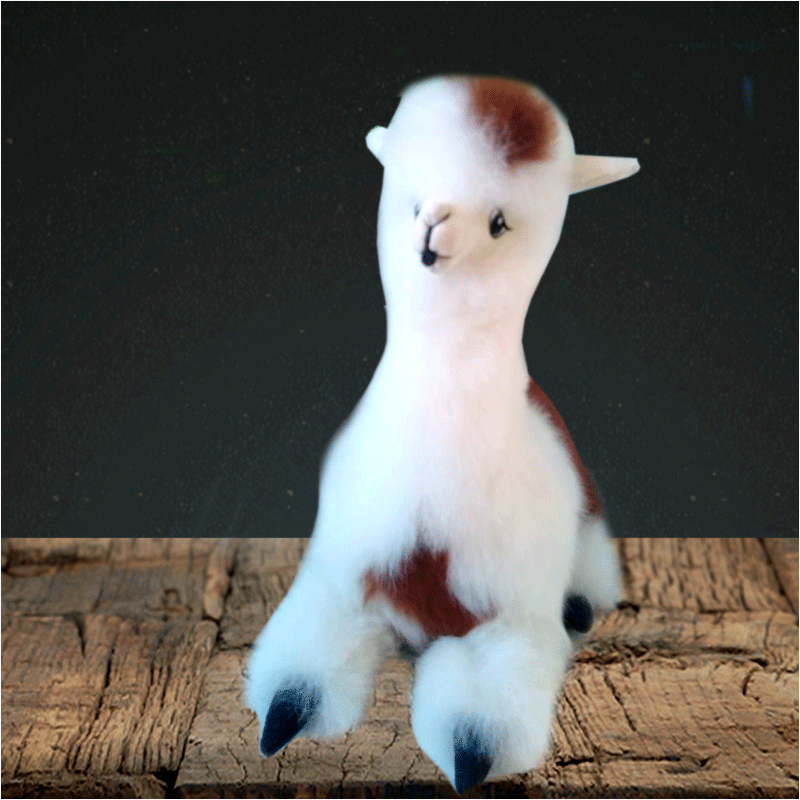 Alpaca echada 6