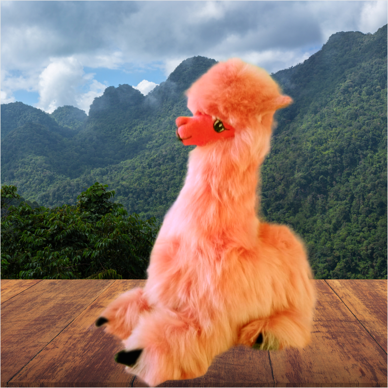 Alpaca echada 7