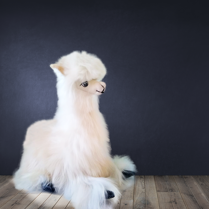 Alpaca echada 7