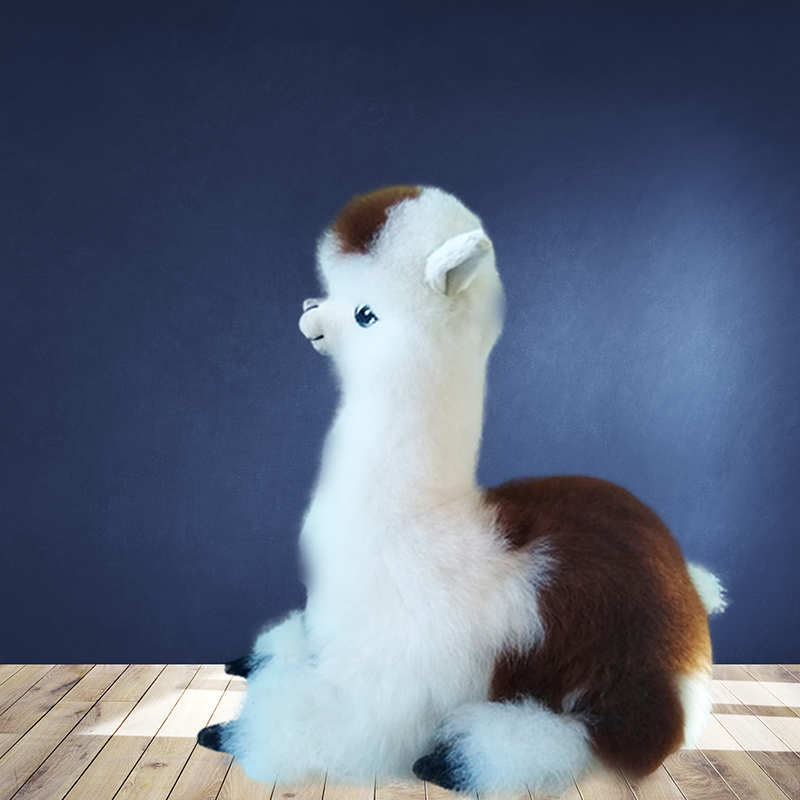 Alpaca echada 8