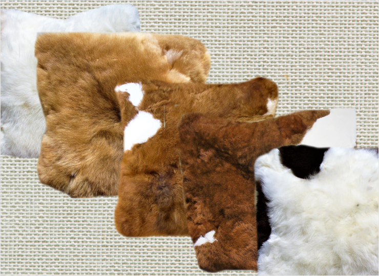 Baby alpaca cushions