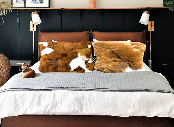 Baby alpaca pillows