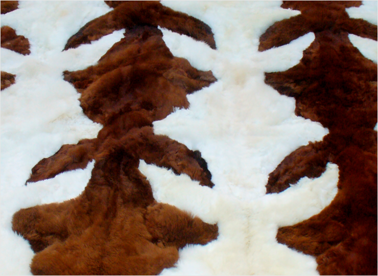 Frog Shape