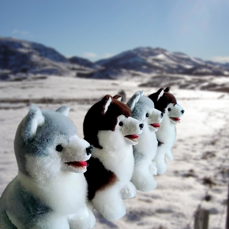 Siberianito_002