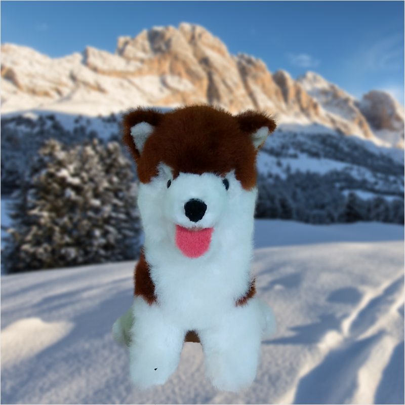 Siberiano 1.1