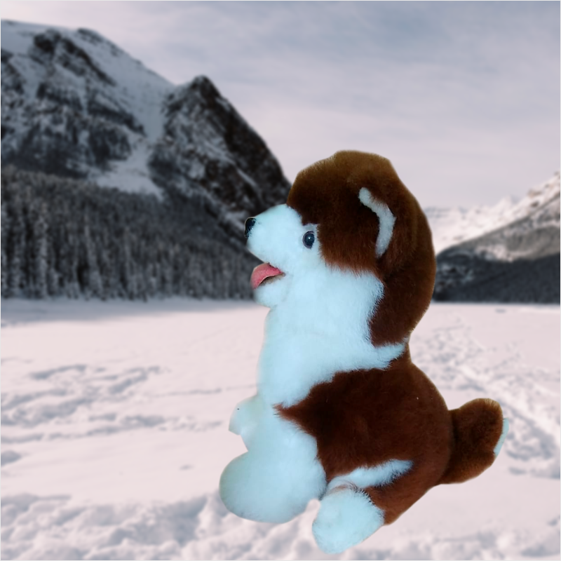 Siberiano 1