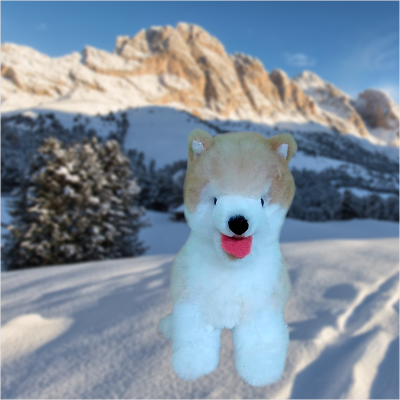 Siberiano 2