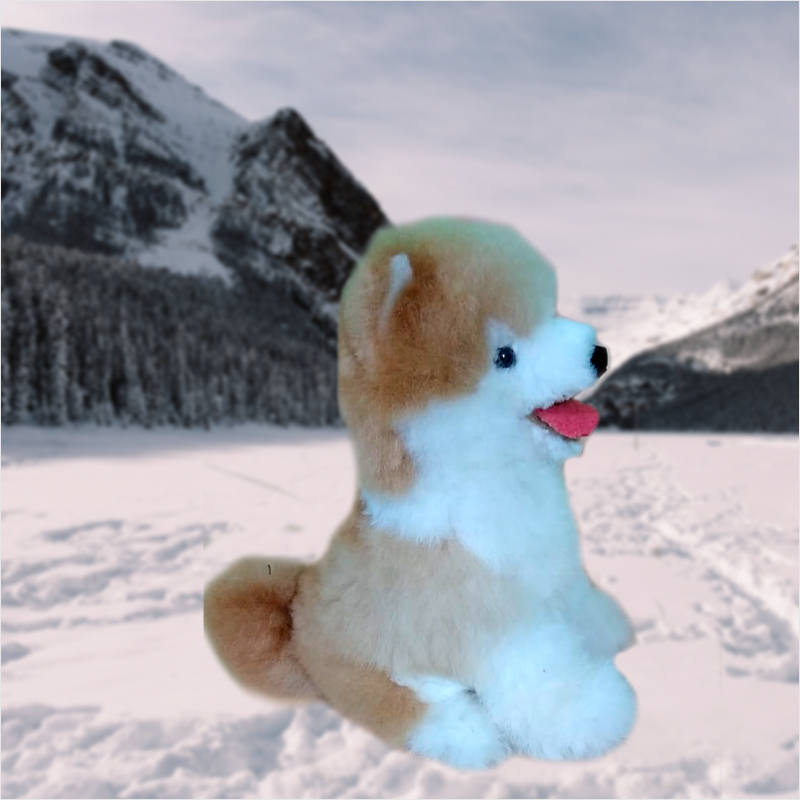 Siberiano 3