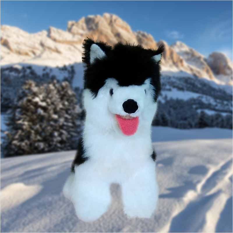 Siberiano 4